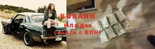 прущие грибы Елабуга