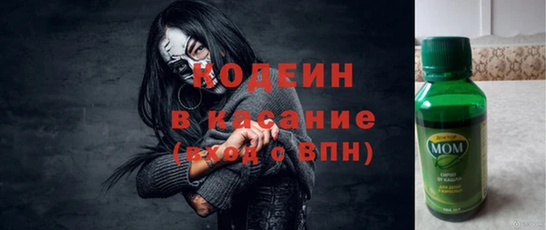 хмурый Алзамай