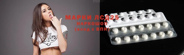 дмт Абаза