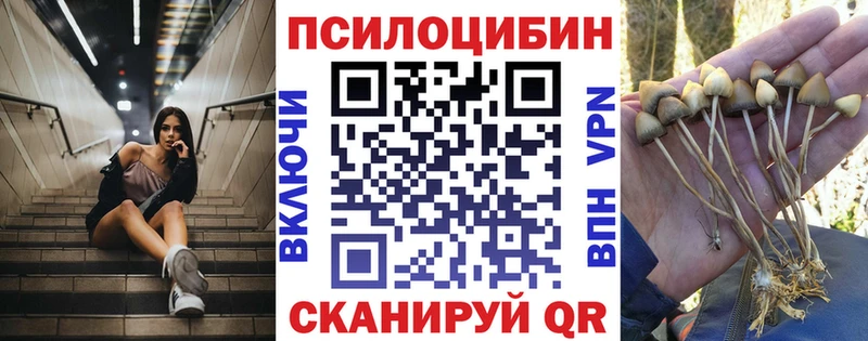 Псилоцибиновые грибы Cubensis купить сайты Златоуст