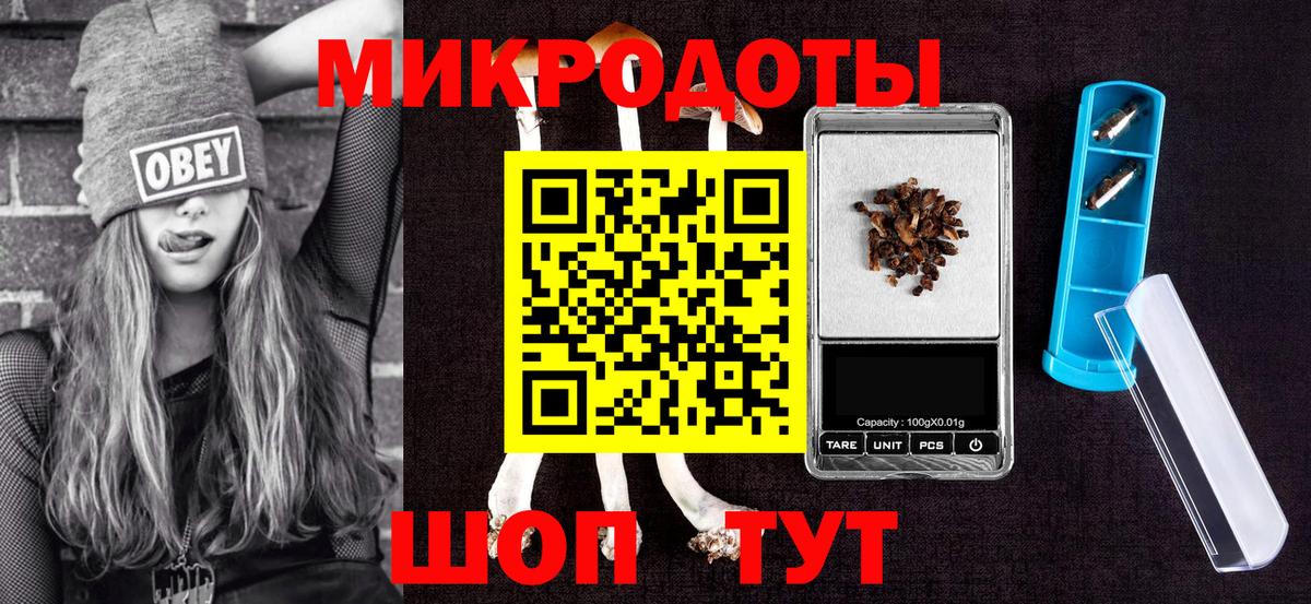 Галлюциногенные грибы Psilocybe Златоуст