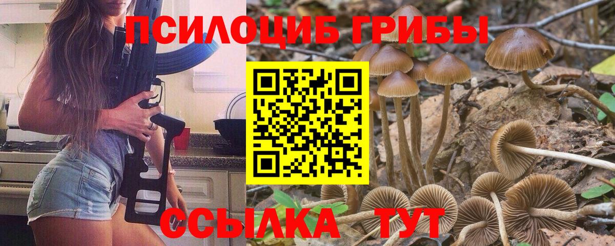 Златоуст  Псилоцибиновые грибы мицелий  Галлюциногенные грибы мухоморы  Вход с VPN 